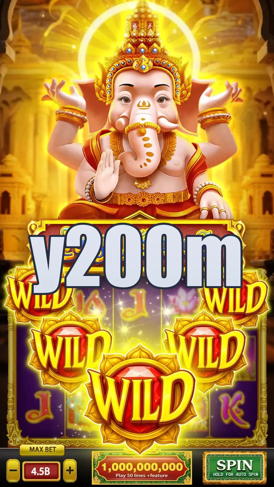 y200m Preview - Resmi Unduh